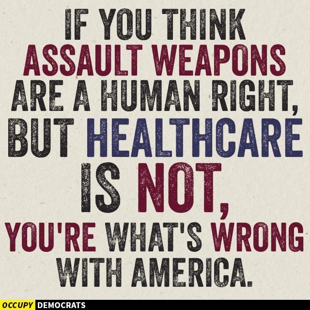 If you think assault weapon's are a human right but healthcare is not, you're what's wrong with America