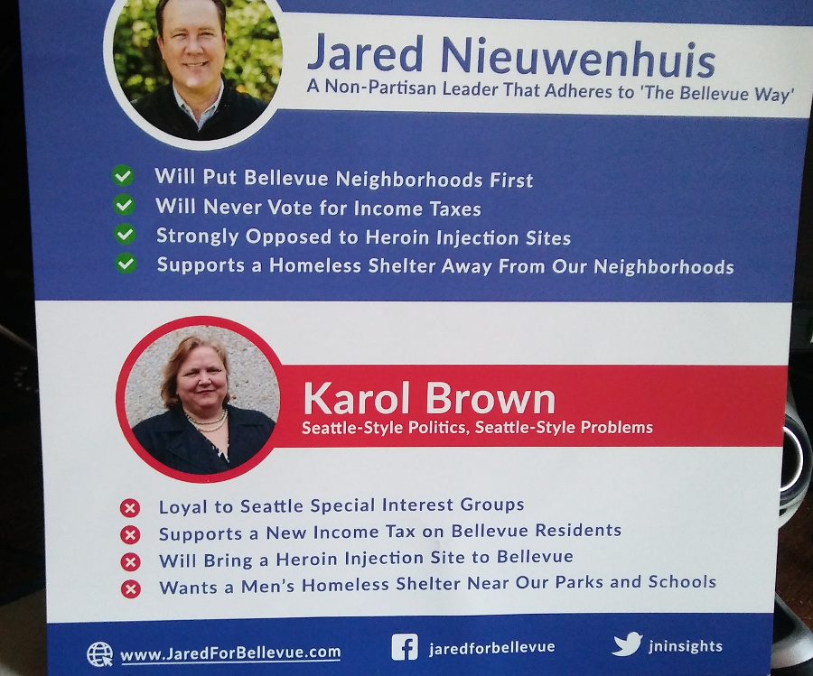 Campaign flier for Jared Nieuwebhuis attacking Karol Brown