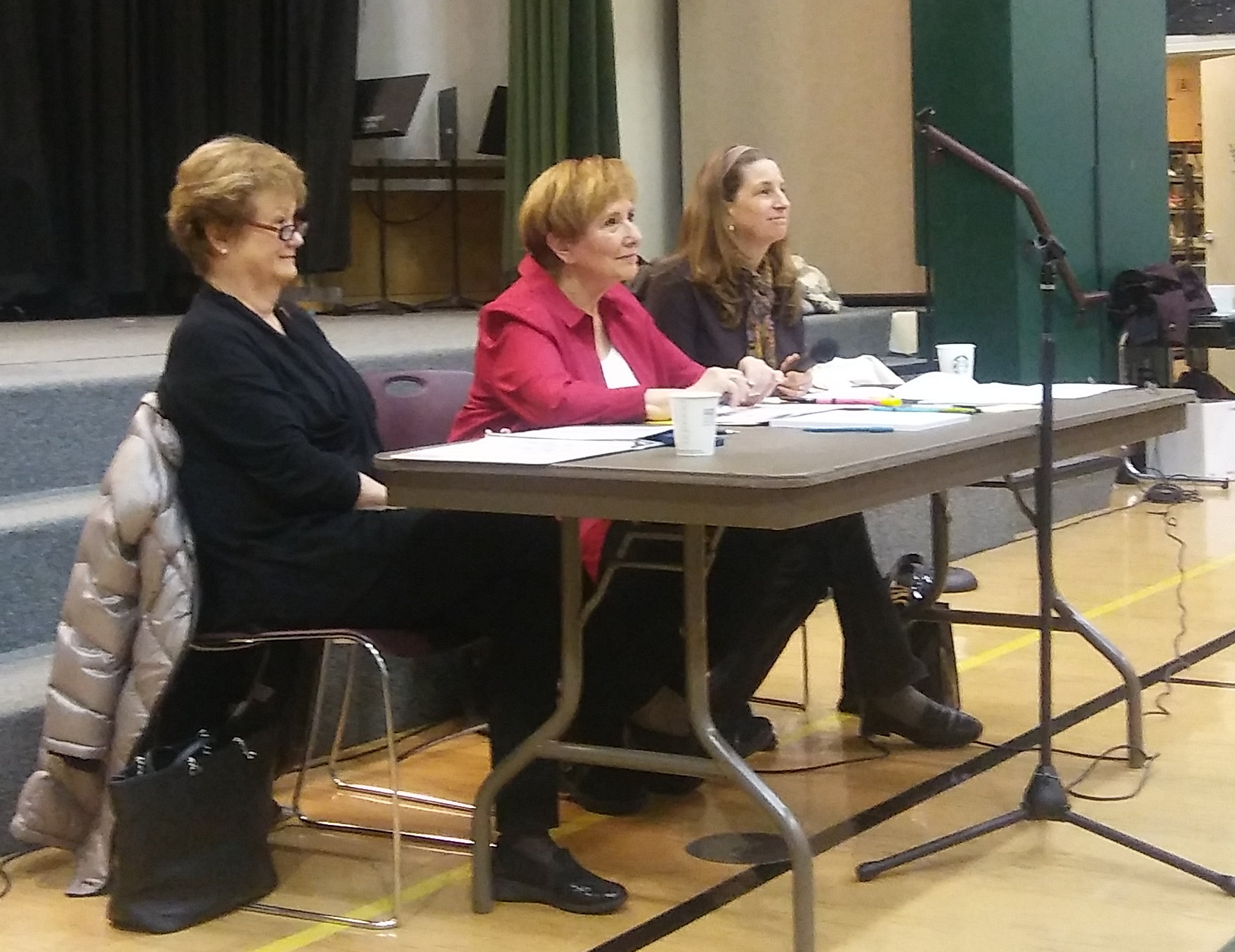 Rep. Judy Clibborn, Sen. Lisa Wellman, Rep. Tana Senn at 41st LD Town Hall, Feb 17, 2018