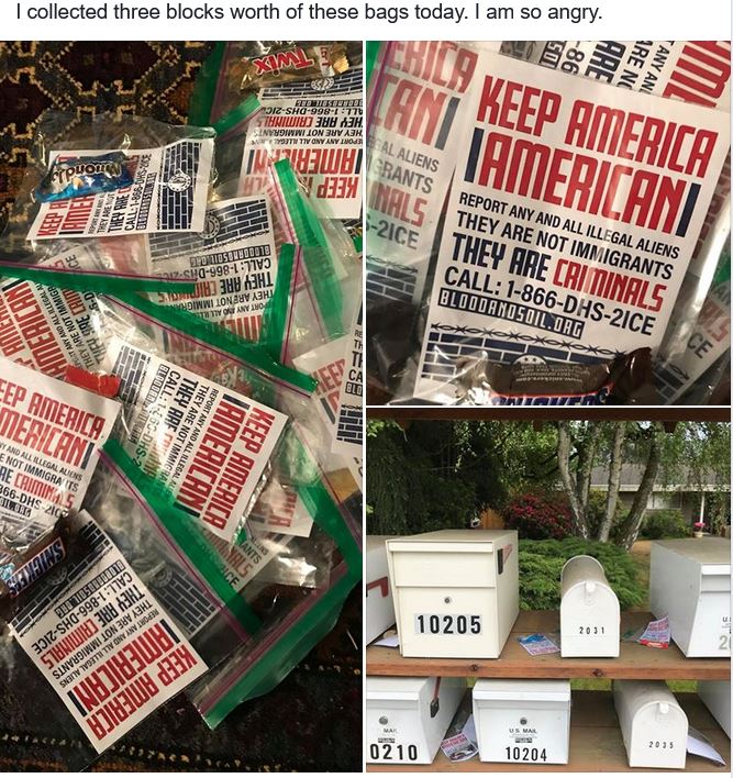 Keep America American: Nazi leafleting in Clyde Hill, WA